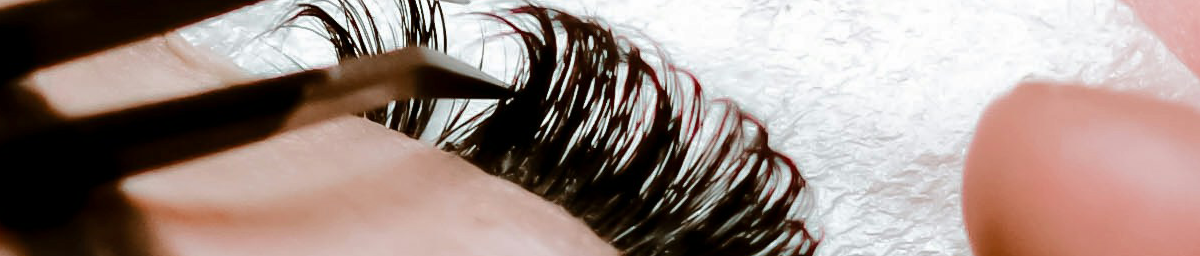 Lash and Brow Services